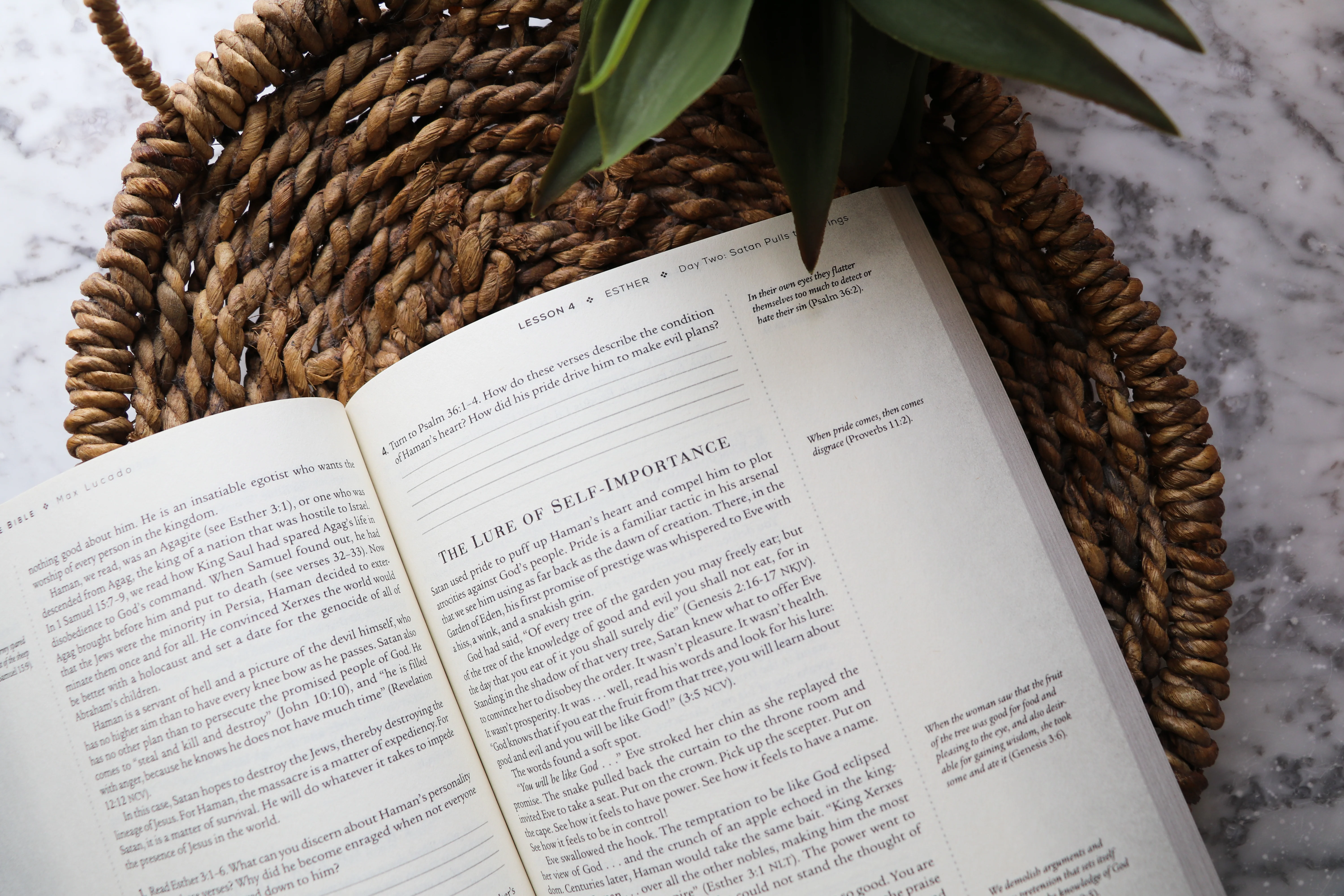 Ten Men of the Bible Updated Edition: How God Used Imperfect People to Change the World - Image 6