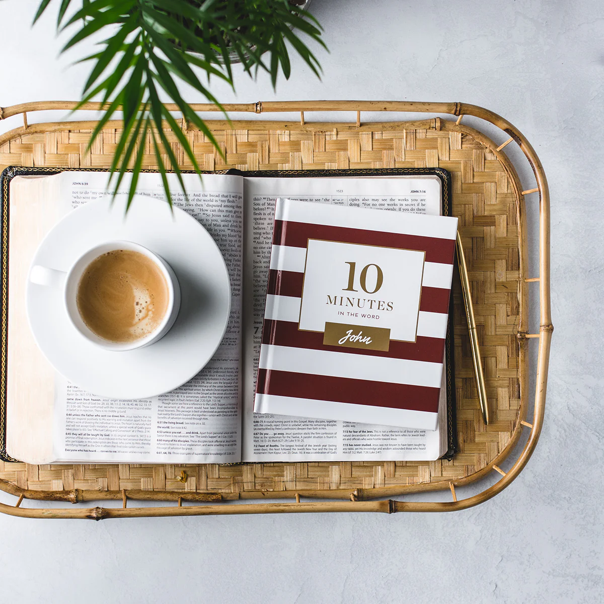 10 Minutes in the Word, John: A Short Journey Through the Gospel of John (A 46-Day Devotional) - Image 3