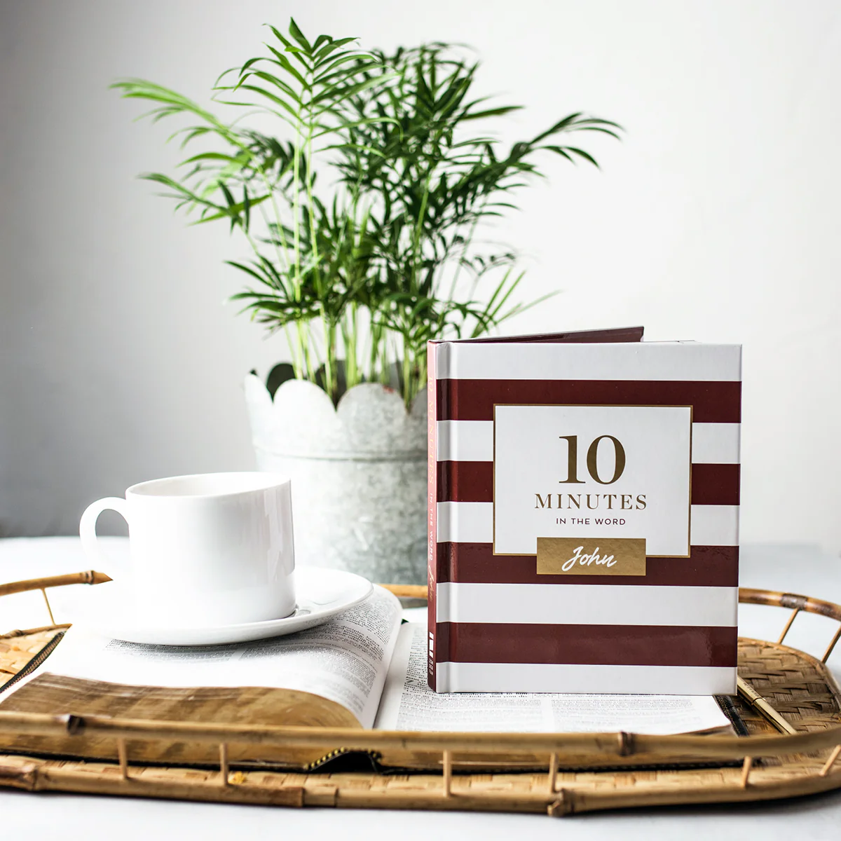 10 Minutes in the Word, John: A Short Journey Through the Gospel of John (A 46-Day Devotional) - Image 4