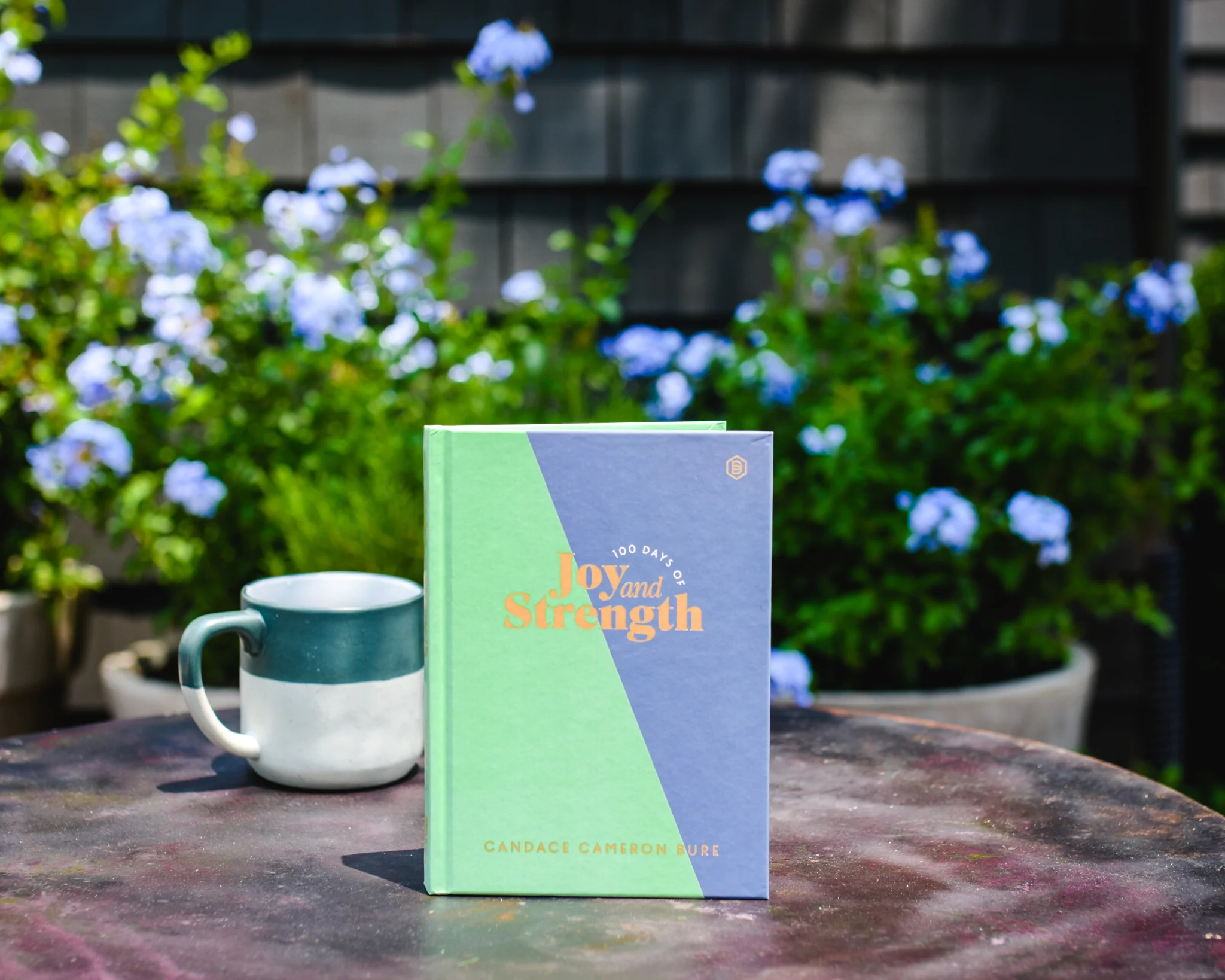 100 Days of Joy and Strength: Daily Devotions to Help You Find Overwhelming Peace on Busy Days (A 100-Day Devotional) - Image 3