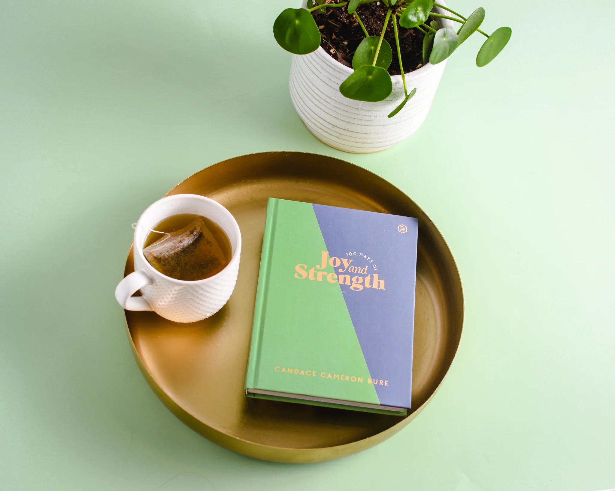 100 Days of Joy and Strength: Daily Devotions to Help You Find Overwhelming Peace on Busy Days (A 100-Day Devotional) - Image 4