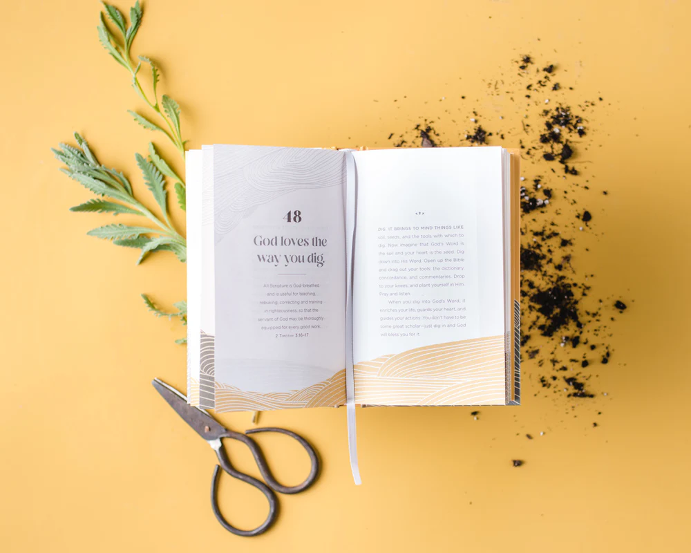 100 Things God Loves About You: Simple Reminders for When You Need Them Most (A 100-Day Devotional) - Image 6
