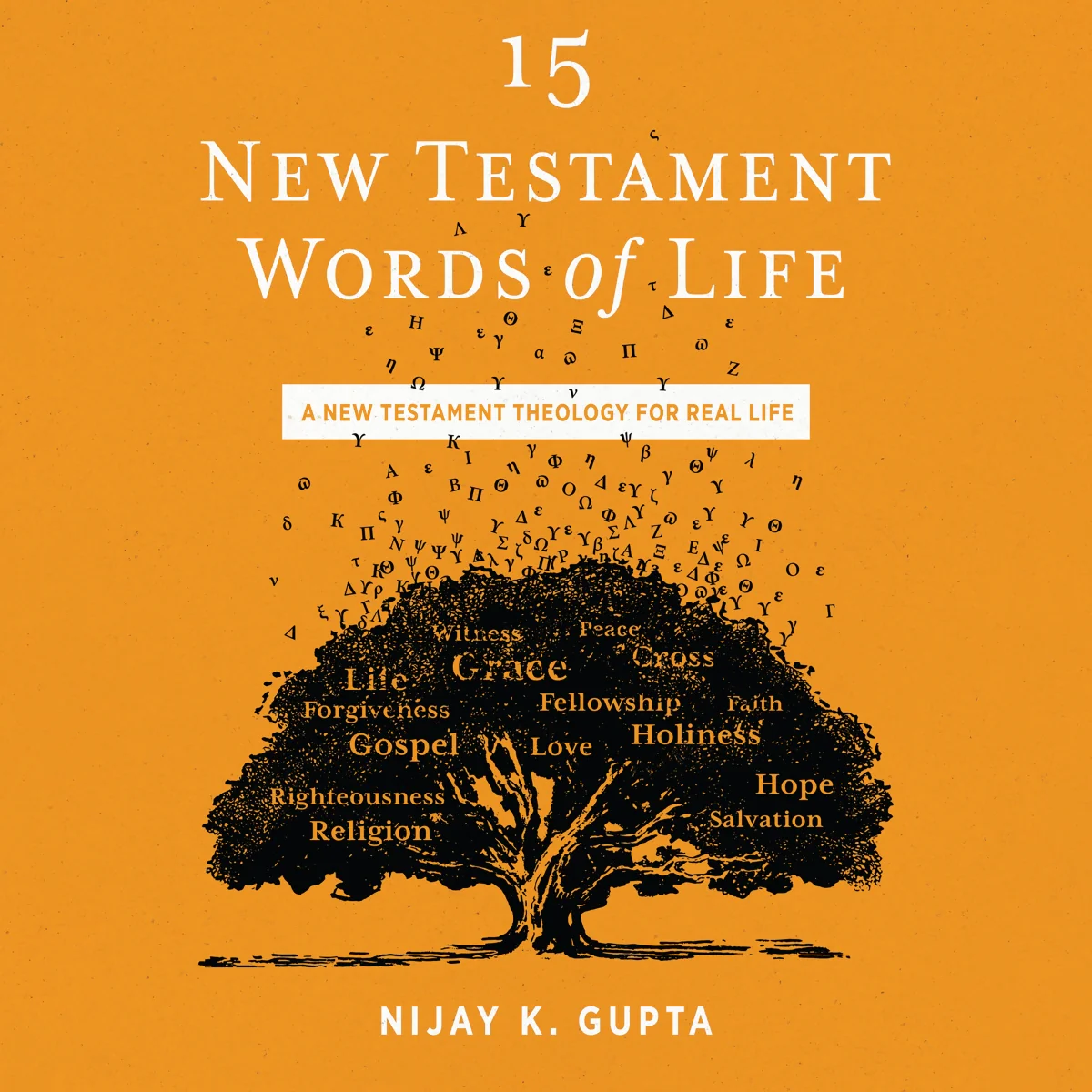 15 New Testament Words of Life: A New Testament Theology for Real Life - Audiobook (Unabridged)