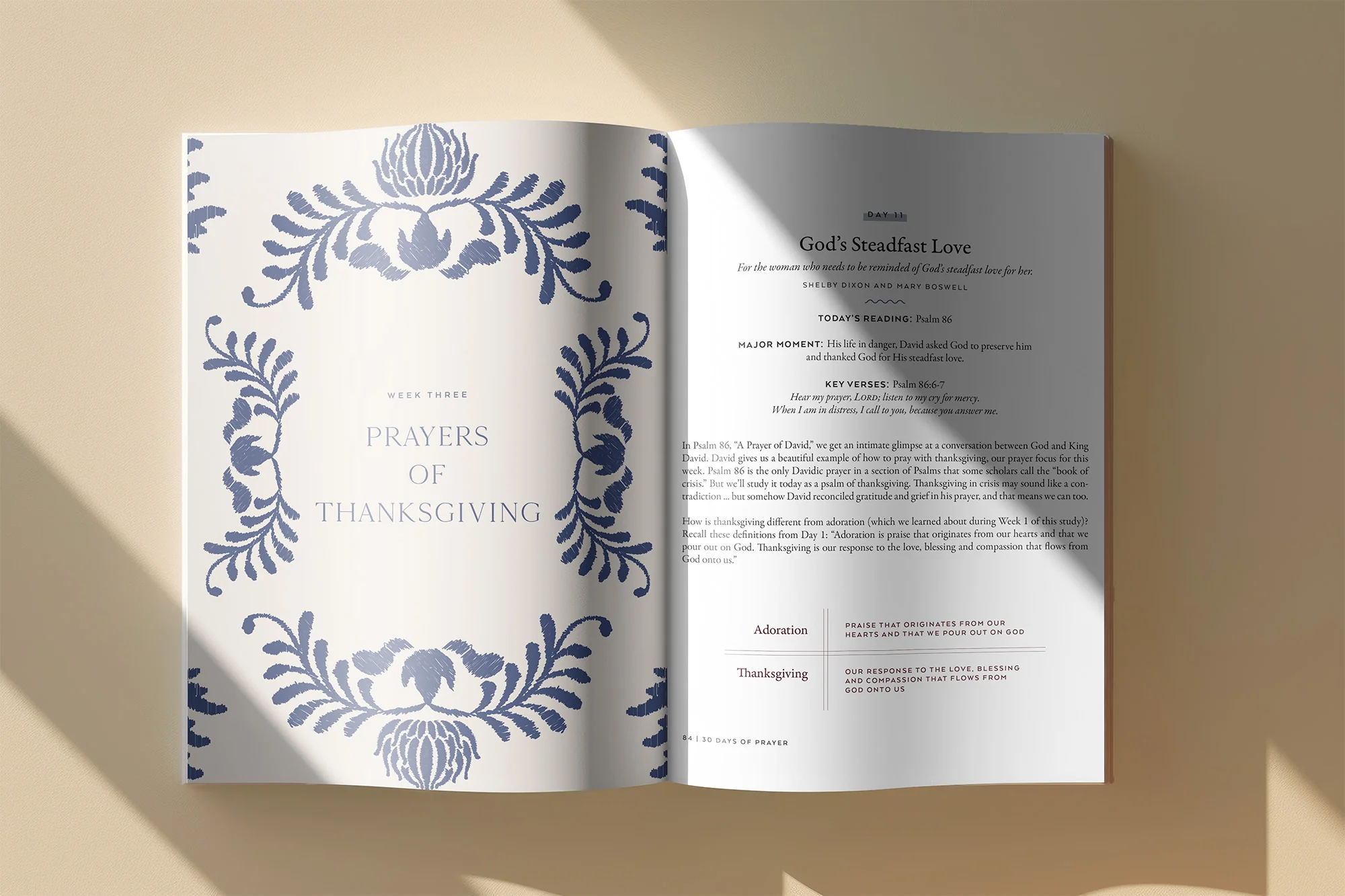 30 Days of Prayer: A Bible Study in Psalms - Image 11