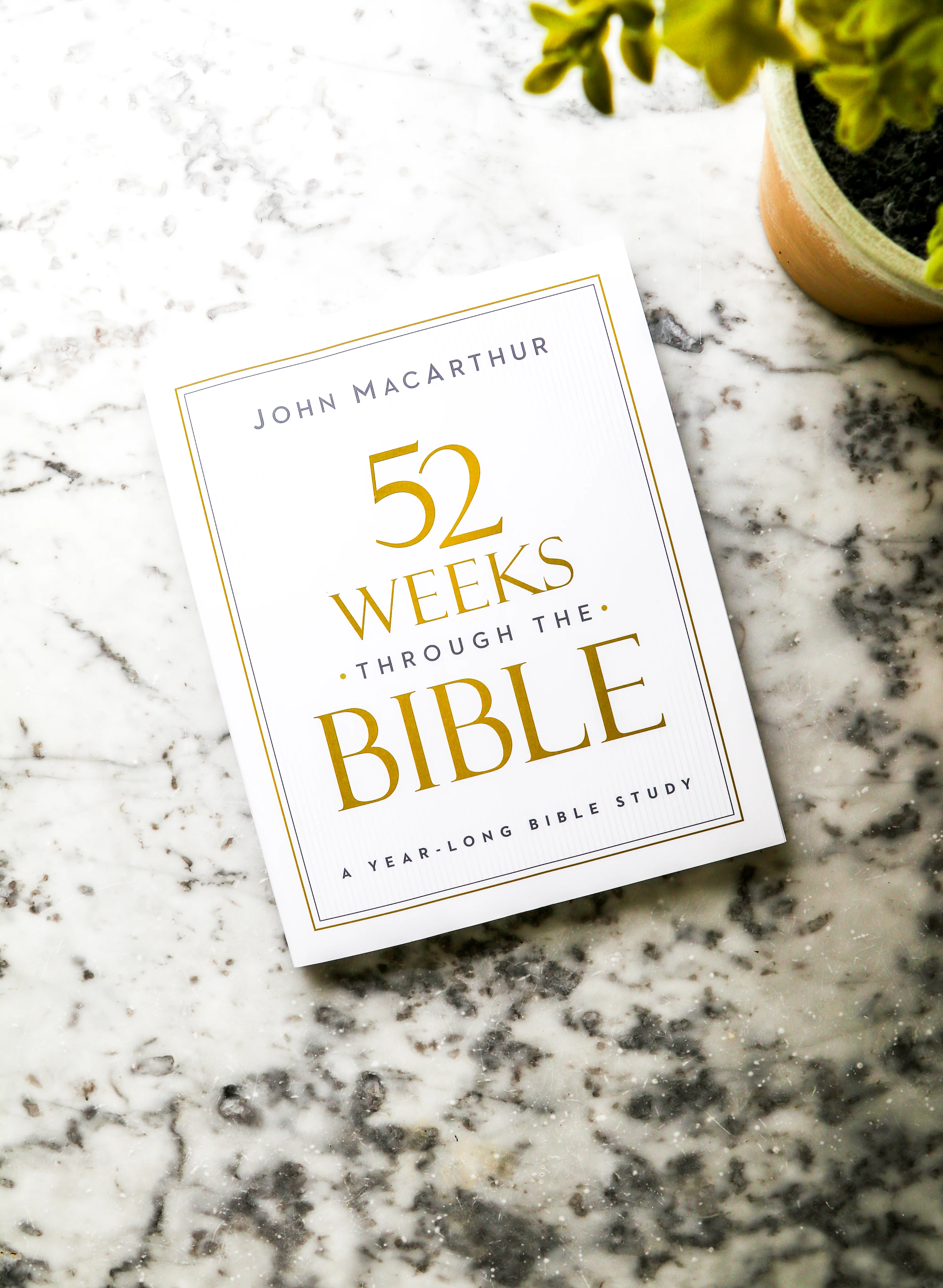 52 Weeks through the Bible: A Year-Long Bible Study for Men and Women - Image 6