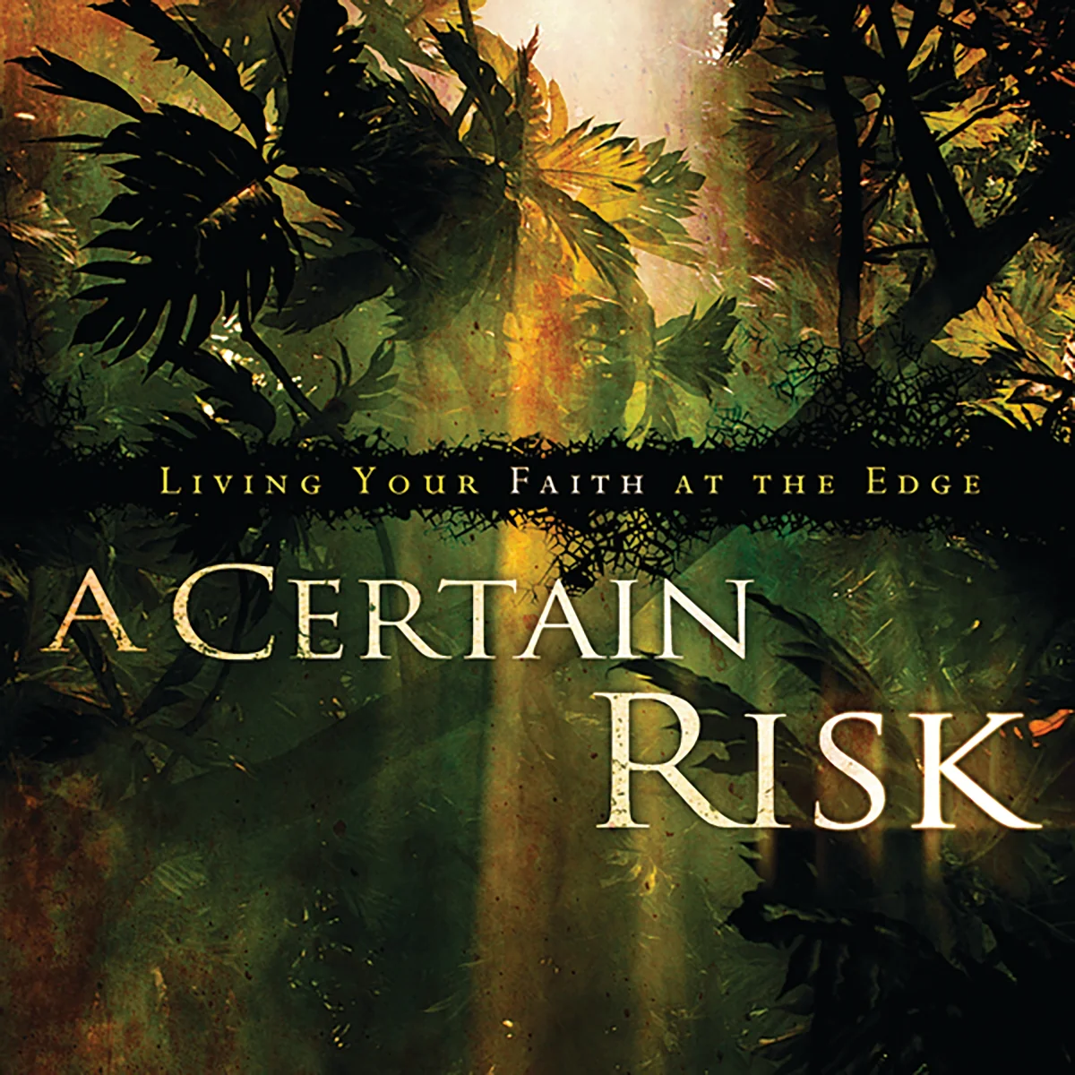 A Certain Risk: Living Your Faith at the Edge - Audiobook (Unabridged)