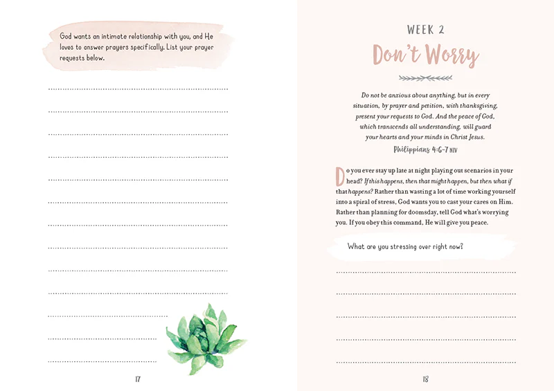 A Jesus Shaped Life Study Guide + Prayer Journal + Bible Premium Bundle - Image 20