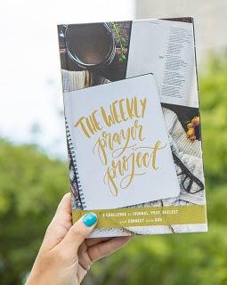 A Jesus Shaped Life Study Guide + Prayer Journal + Bible Premium Bundle - Image 22