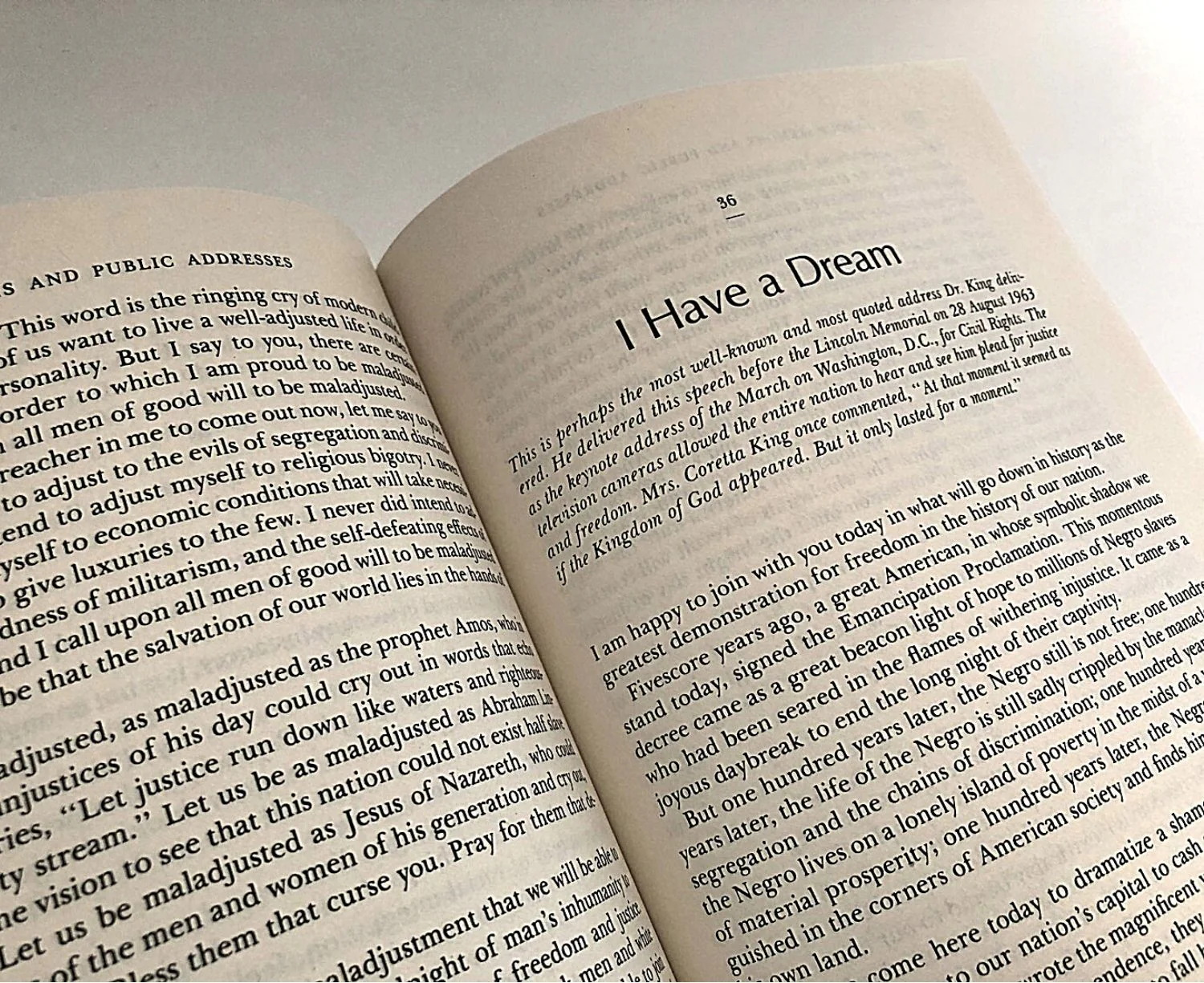 A Testament of Hope: The Essential Writings and Speeches - Image 3
