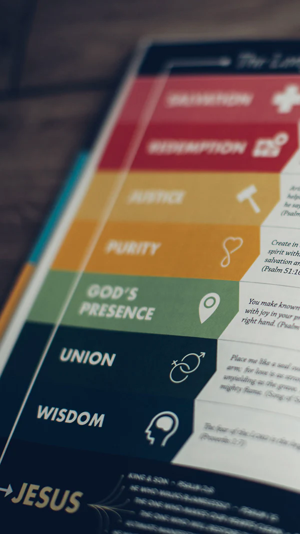 A Visual Theology Guide to the Bible: Seeing and Knowing God's Word - Image 7
