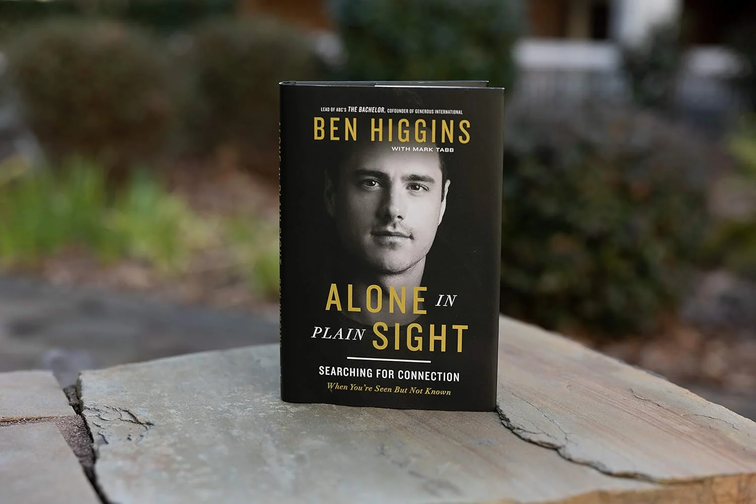 Alone in Plain Sight Expanded Edition: Searching for Connection When You're Seen but Not Known - Image 4