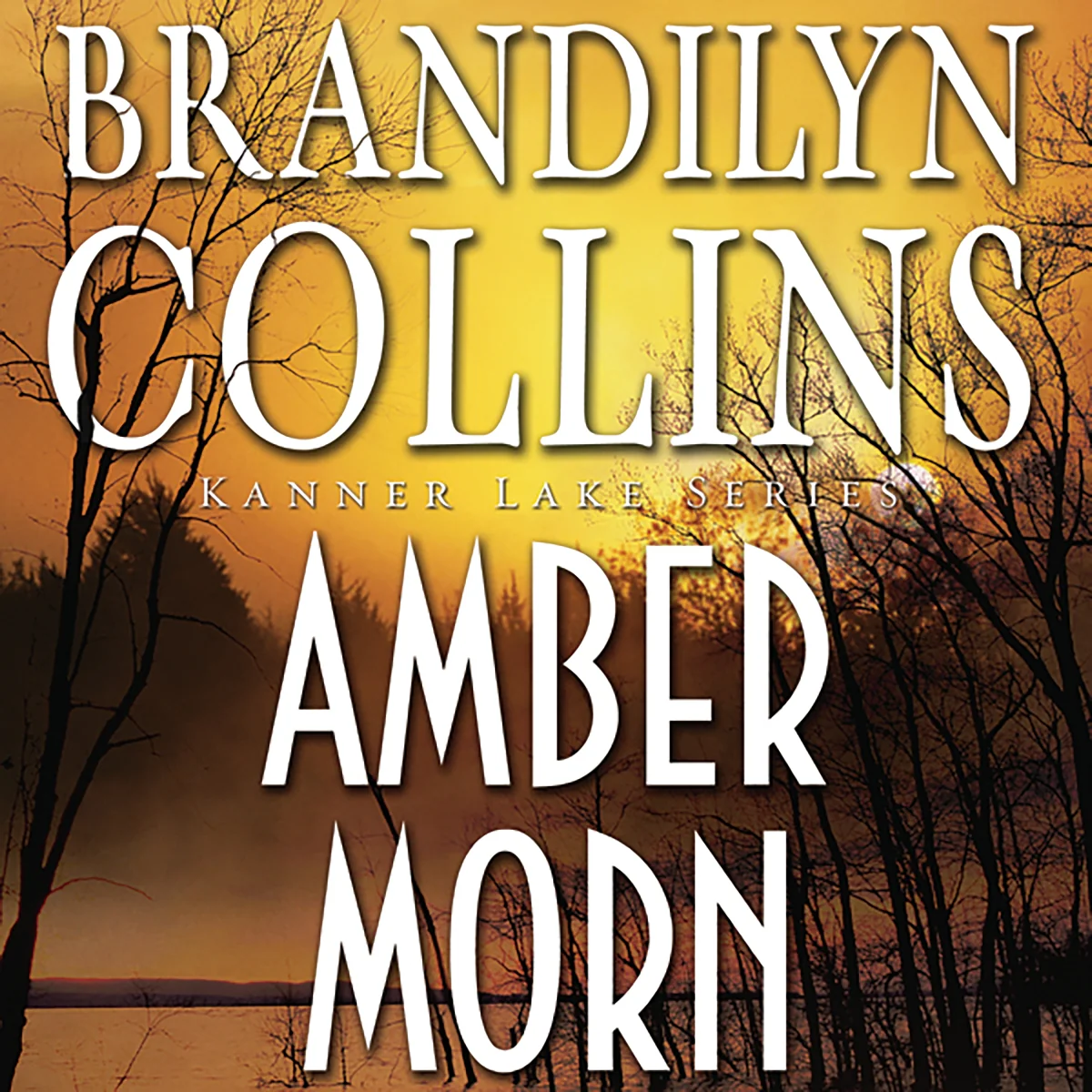 Amber Morn - Audiobook (Unabridged)