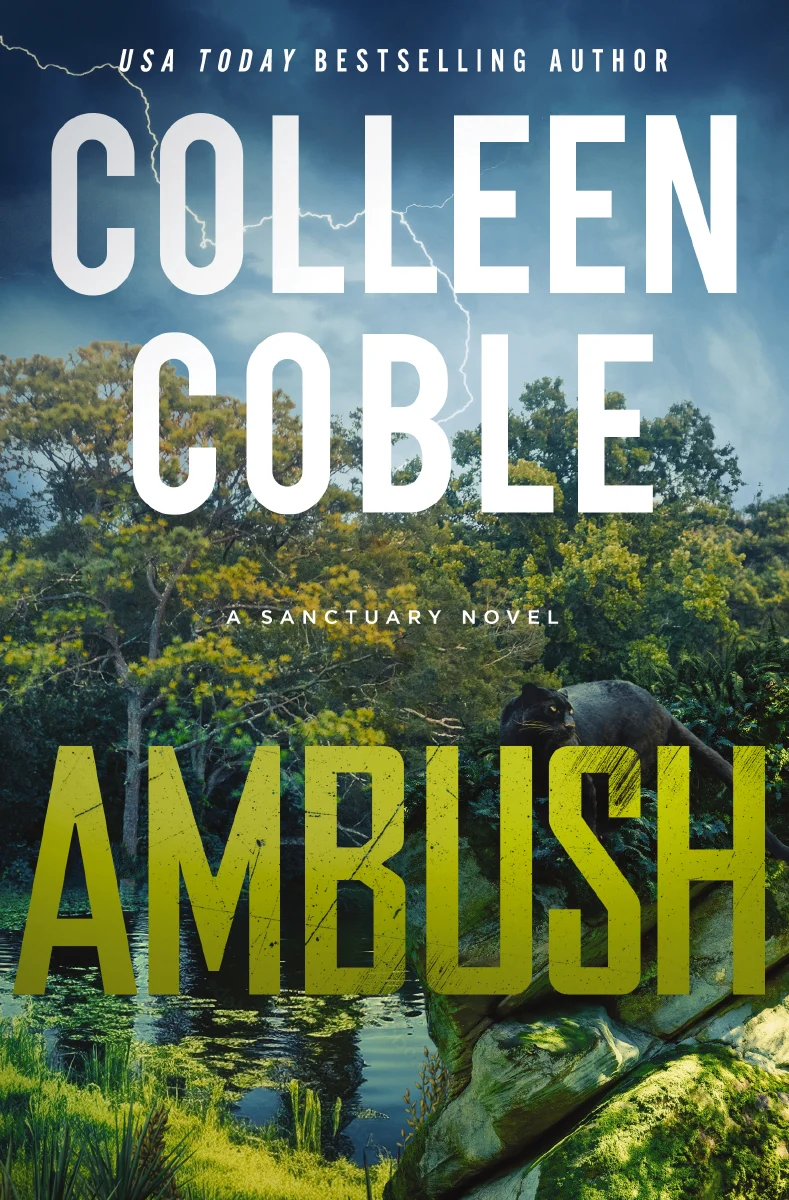 Ambush: A Small-Town Romantic Suspense - Image 2