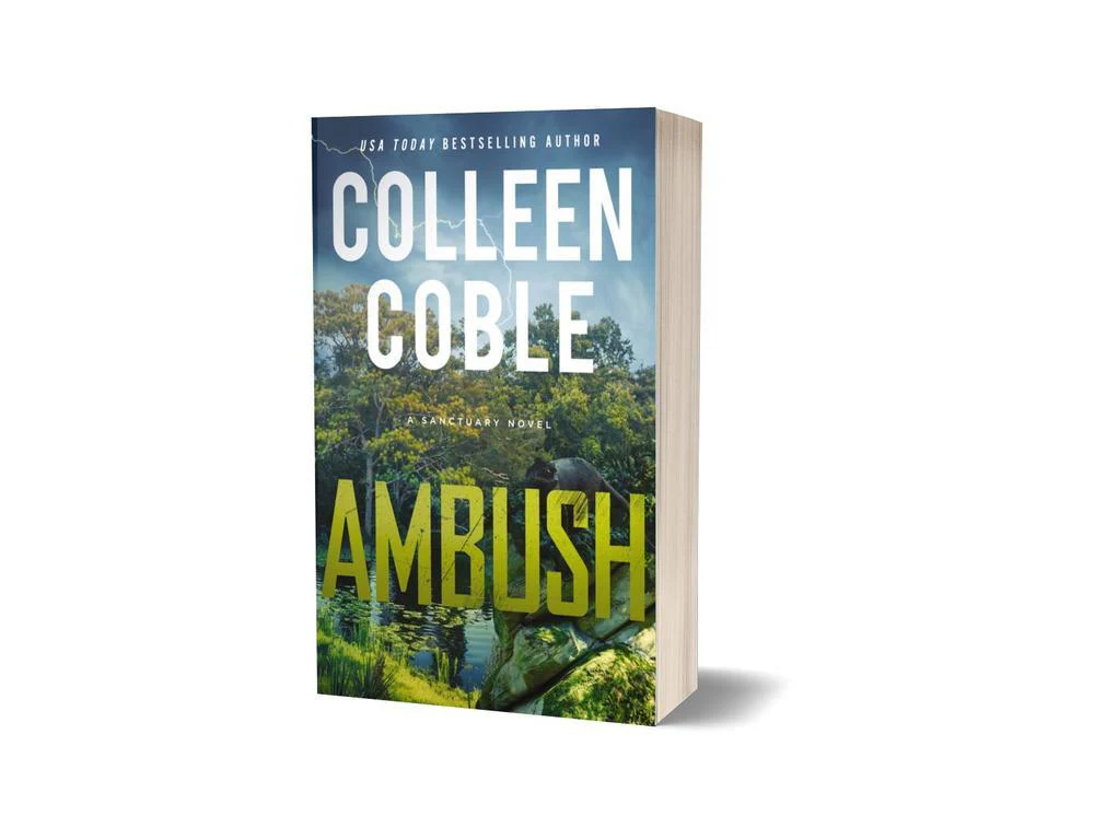 Ambush: A Small-Town Romantic Suspense - Image 4