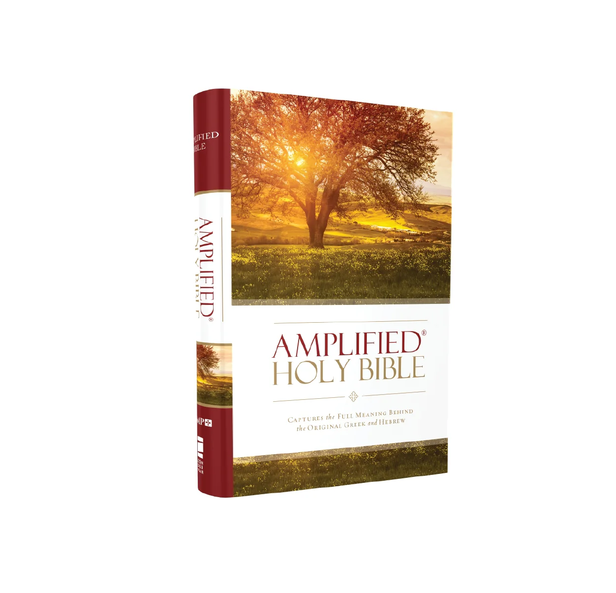Amplified Holy Bible: Captures the Full Meaning Behind the Original Greek and Hebrew - Image 4