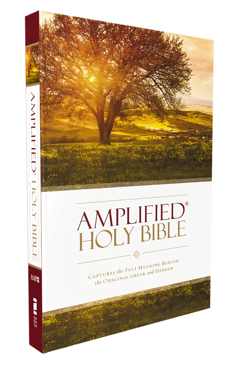 Amplified Holy Bible: Captures the Full Meaning Behind the Original Greek and Hebrew - Image 5