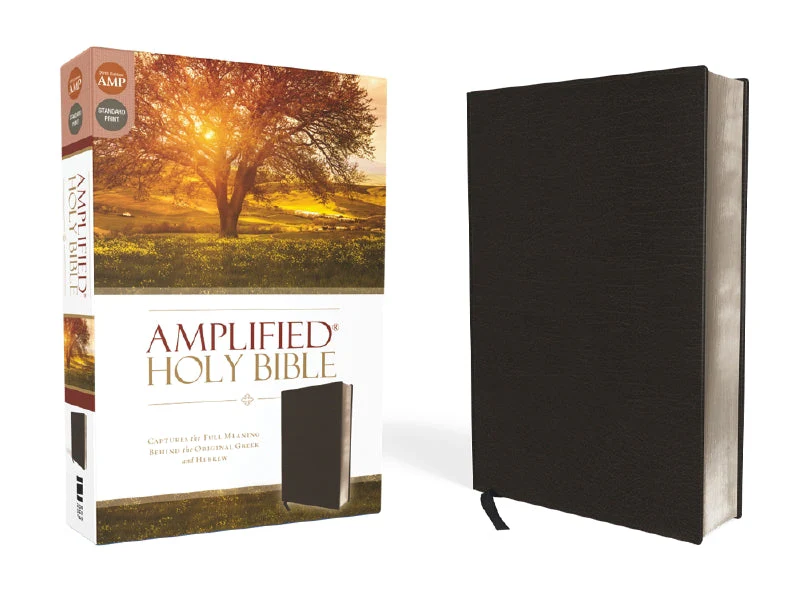 Amplified Holy Bible: Captures the Full Meaning Behind the Original Greek and Hebrew - Image 7
