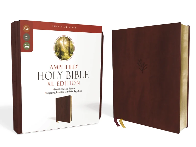 Amplified Holy Bible, XL Edition - Image 2