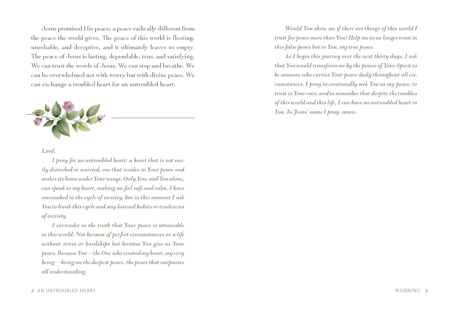 An Untroubled Heart: Calming Anxiety and Finding God's Peace (A 30-Day Morning and Evening Devotional) - Image 6