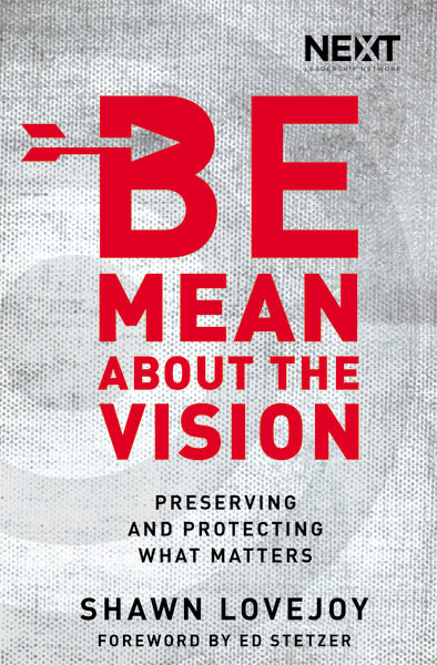 Be Mean About the Vision: Preserving and Protecting What Matters - Image 2