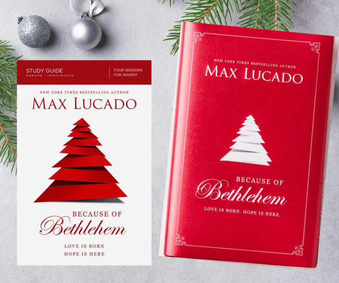 Because of Bethlehem Book + Study Guide Bundle - Image 3