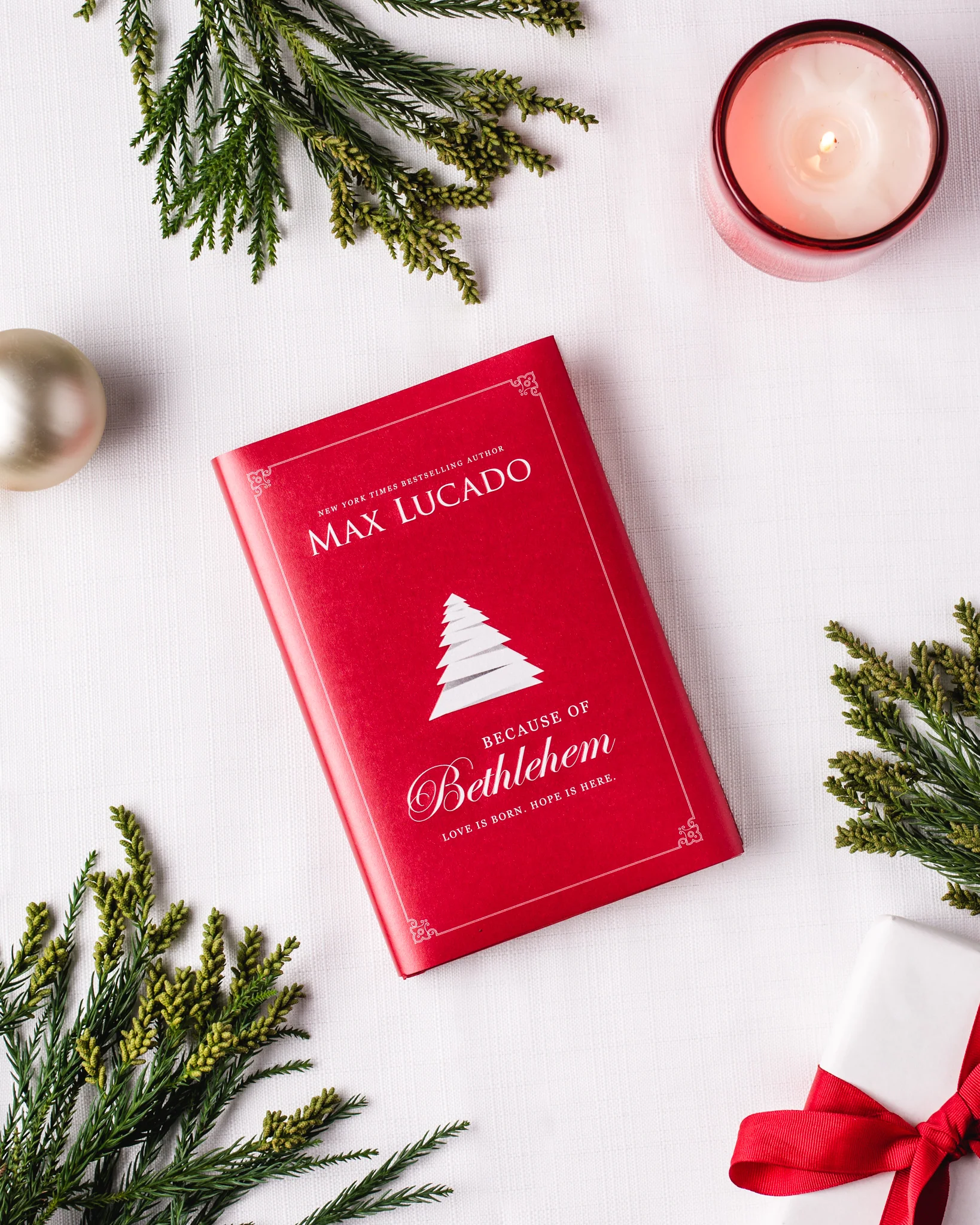 Because of Bethlehem Book + Study Guide Bundle - Image 4