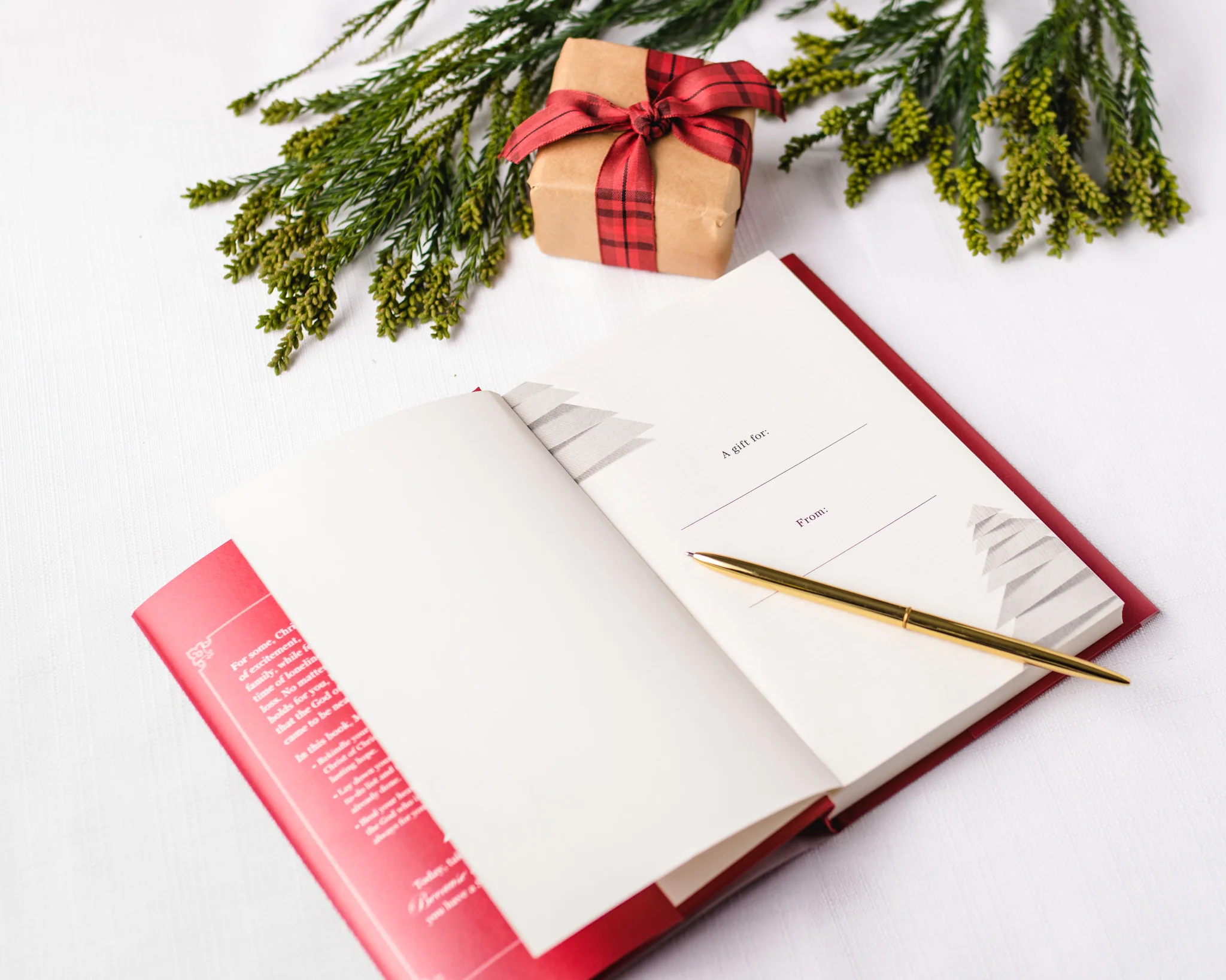 Because of Bethlehem Book + Study Guide Bundle - Image 5