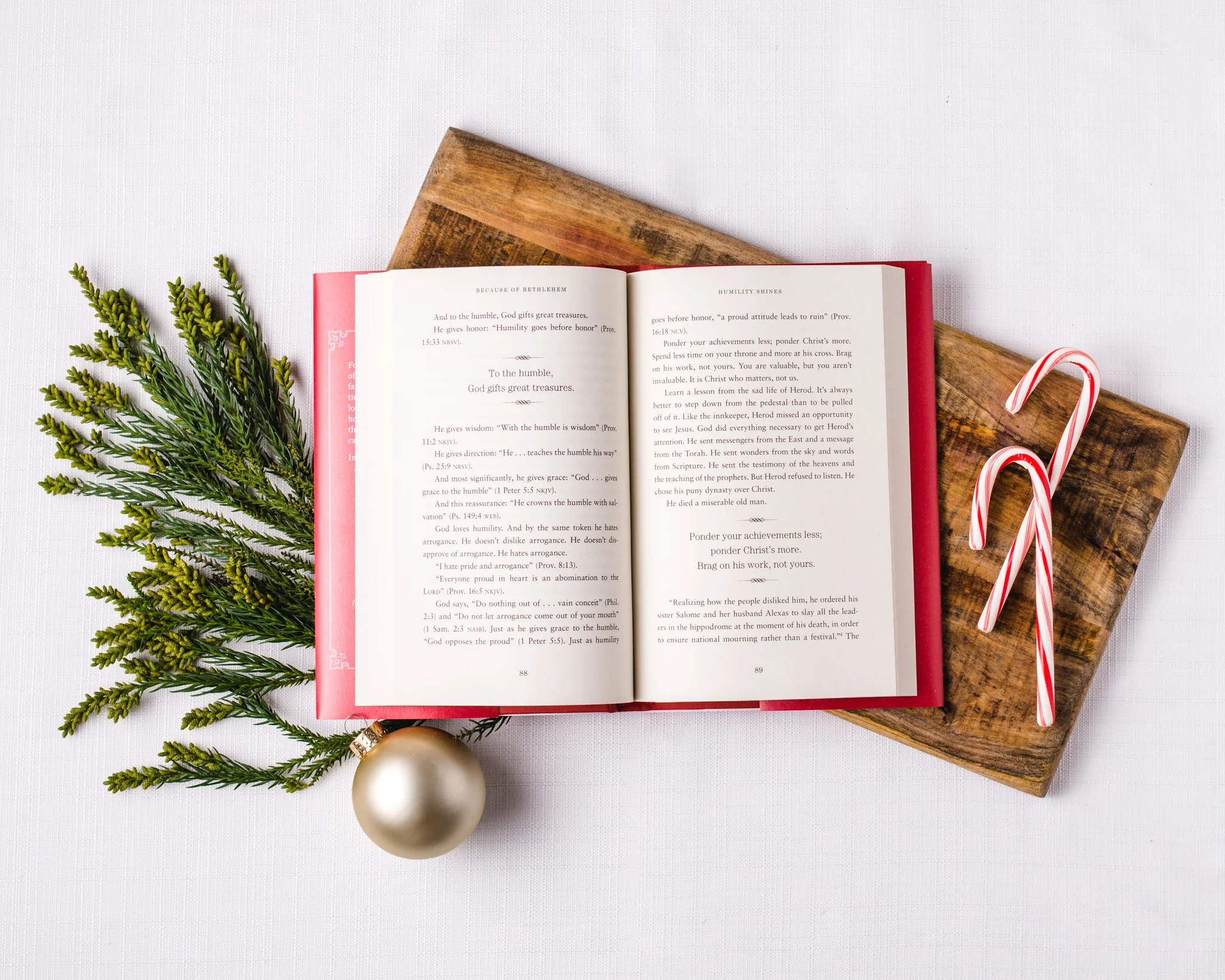 Because of Bethlehem Book + Study Guide Bundle - Image 6
