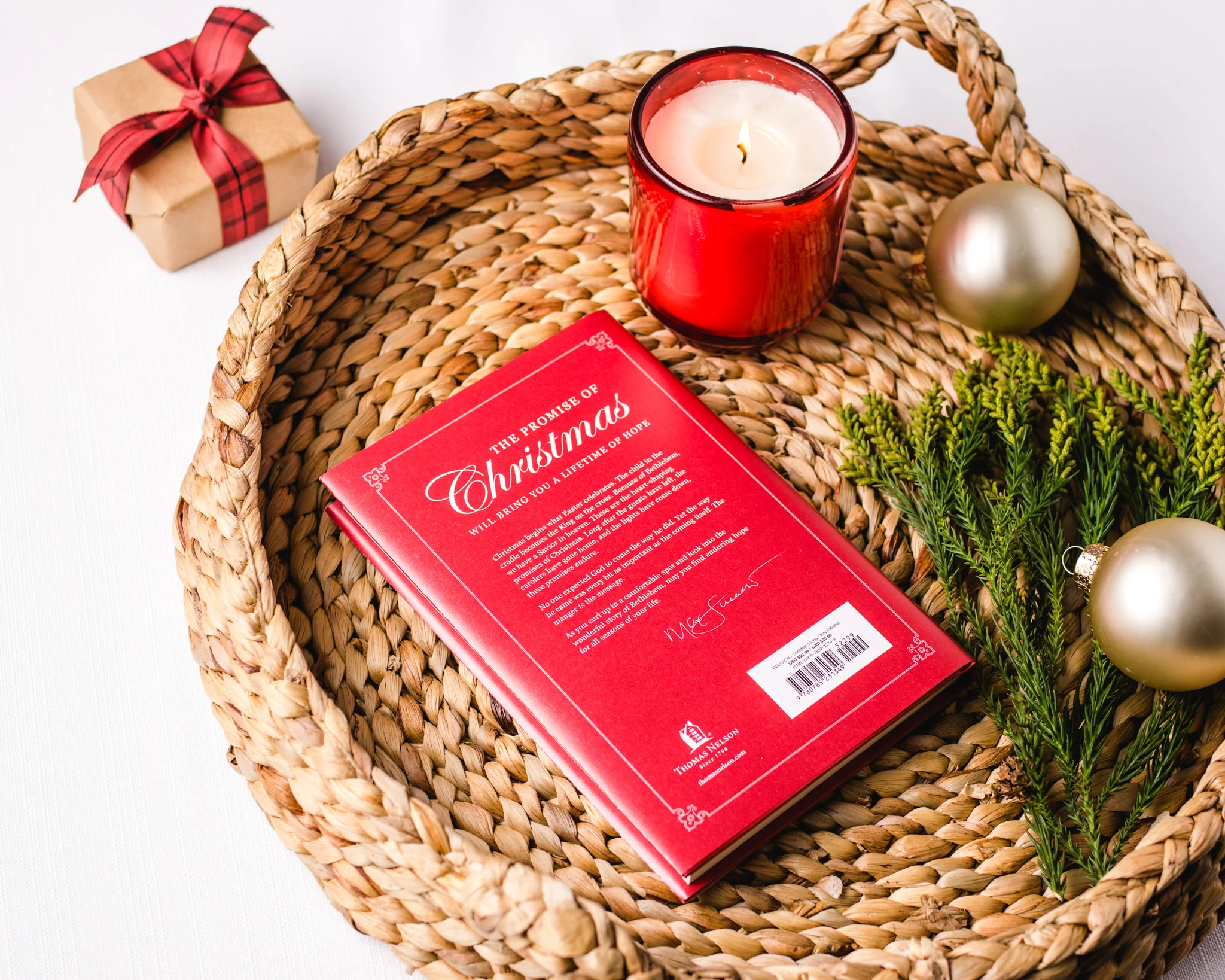 Because of Bethlehem Book + Study Guide Bundle - Image 7