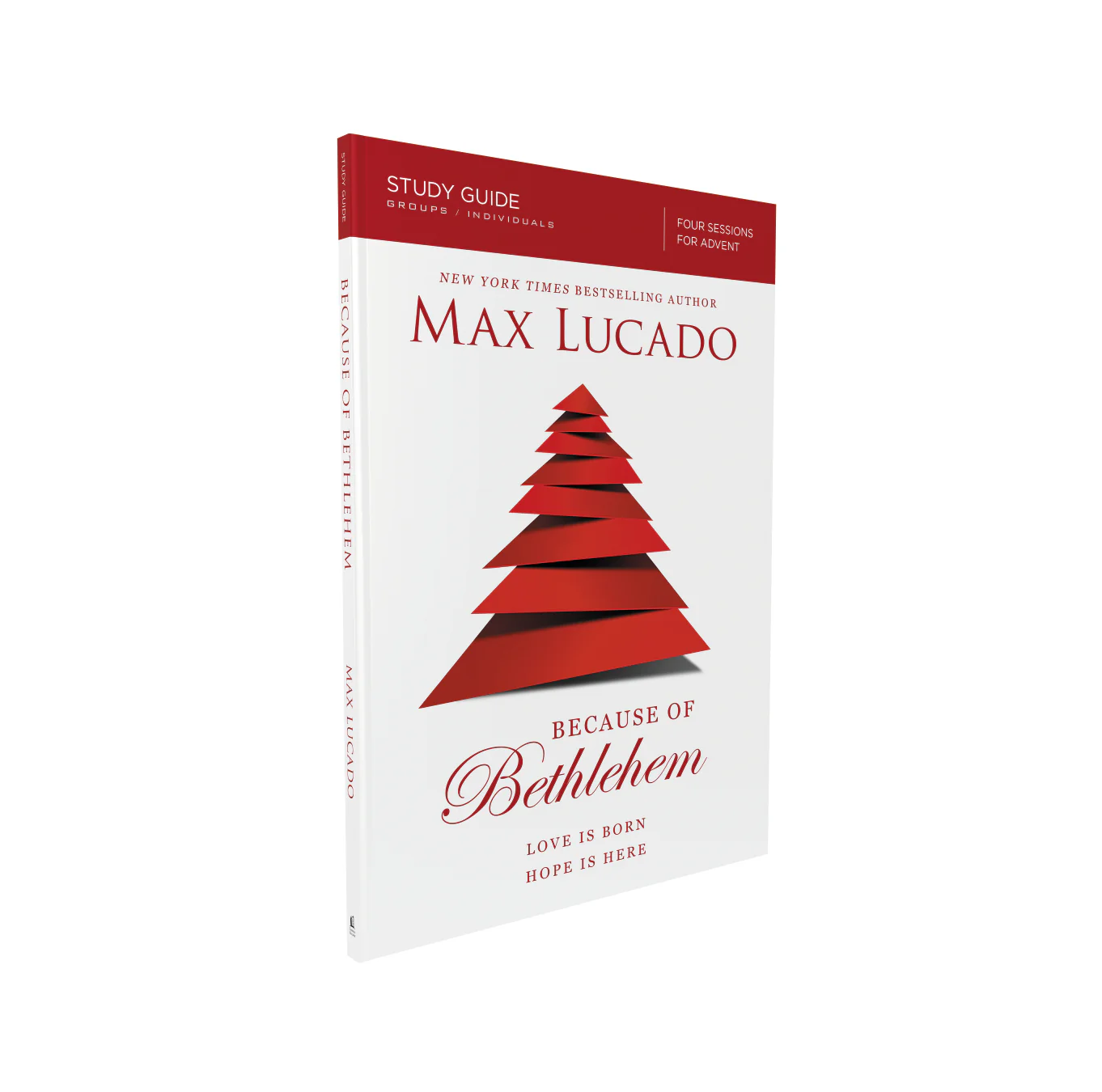 Because of Bethlehem Book + Study Guide Bundle - Image 8
