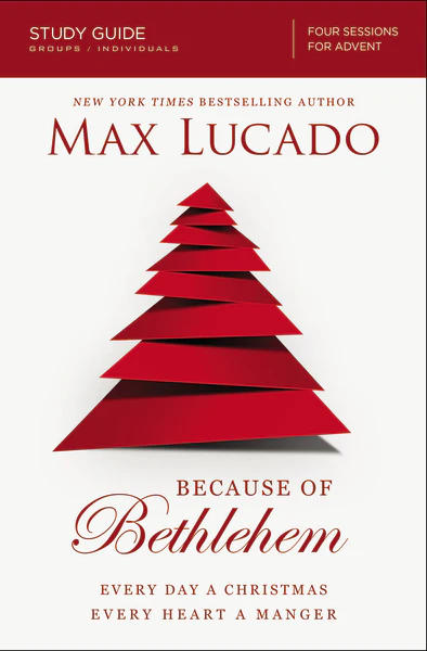 Because of Bethlehem Bible Study Guide: Love is Born, Hope is Here - Image 2