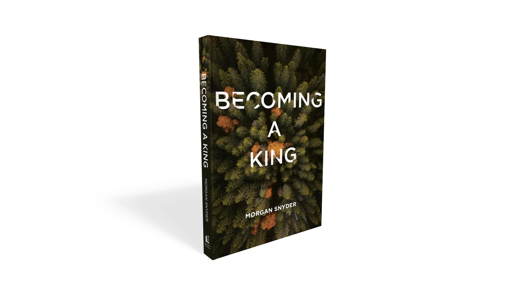 Becoming a King: The Path to Restoring the Heart of a Man - Image 3
