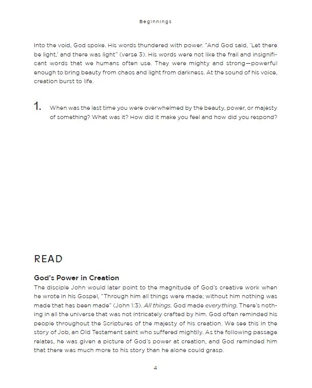 Beginnings Bible Study Guide: The Story of How All Things Were Created by God and for God - Image 11