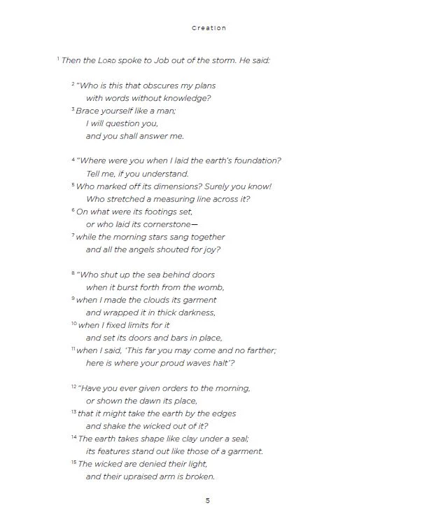 Beginnings Bible Study Guide: The Story of How All Things Were Created by God and for God - Image 12