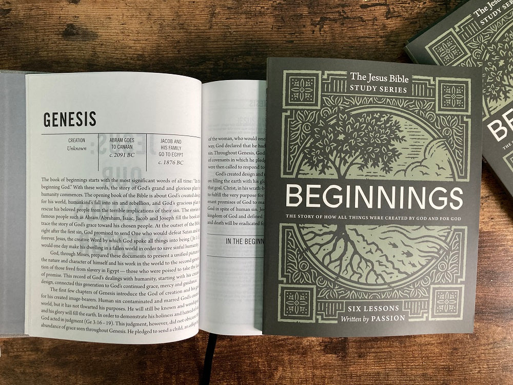 Beginnings Bible Study Guide: The Story of How All Things Were Created by God and for God - Image 6