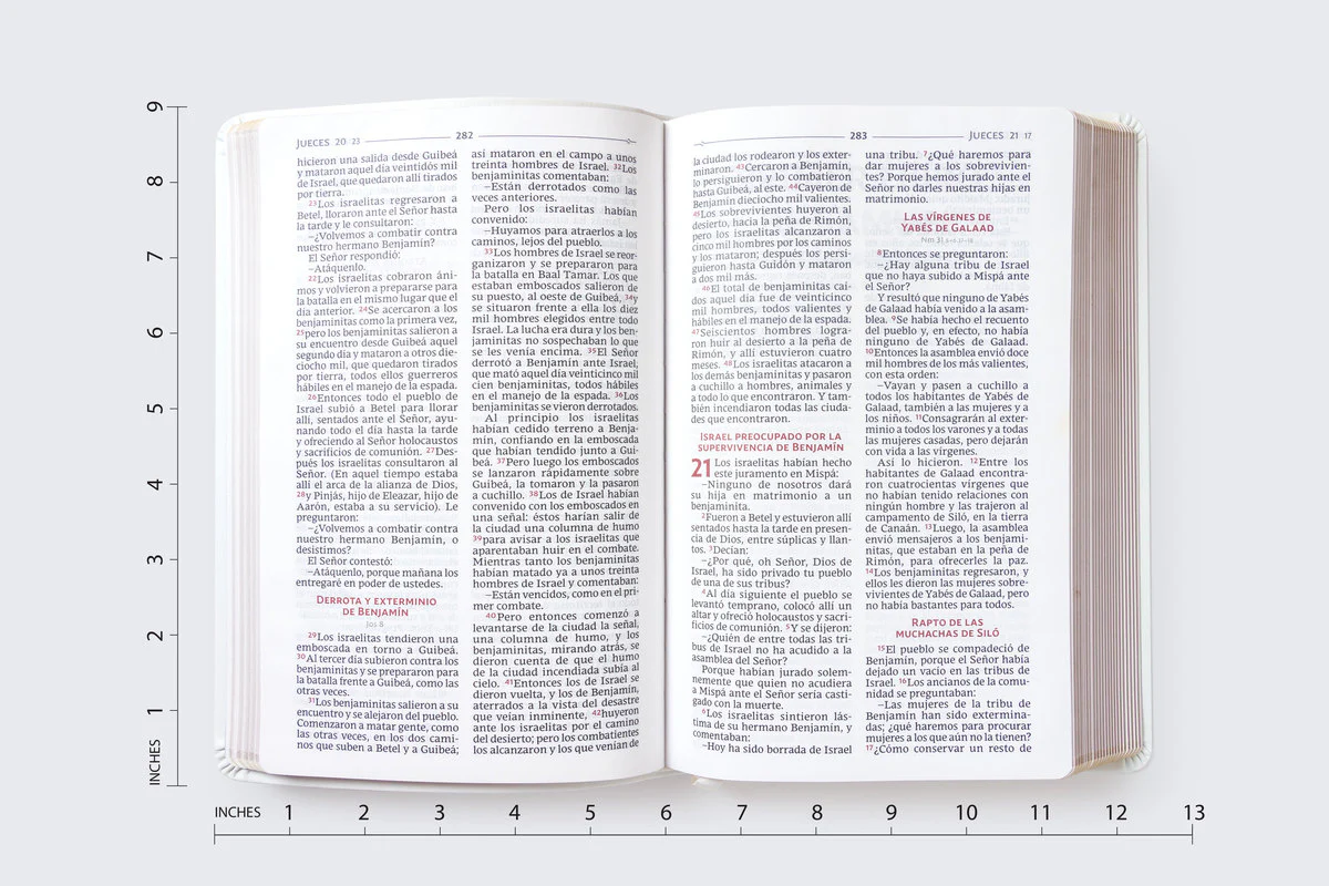 Biblia Católica, Regalos y Ceremonias, Piel reciclada, Rosado, Comfort Print - Image 17