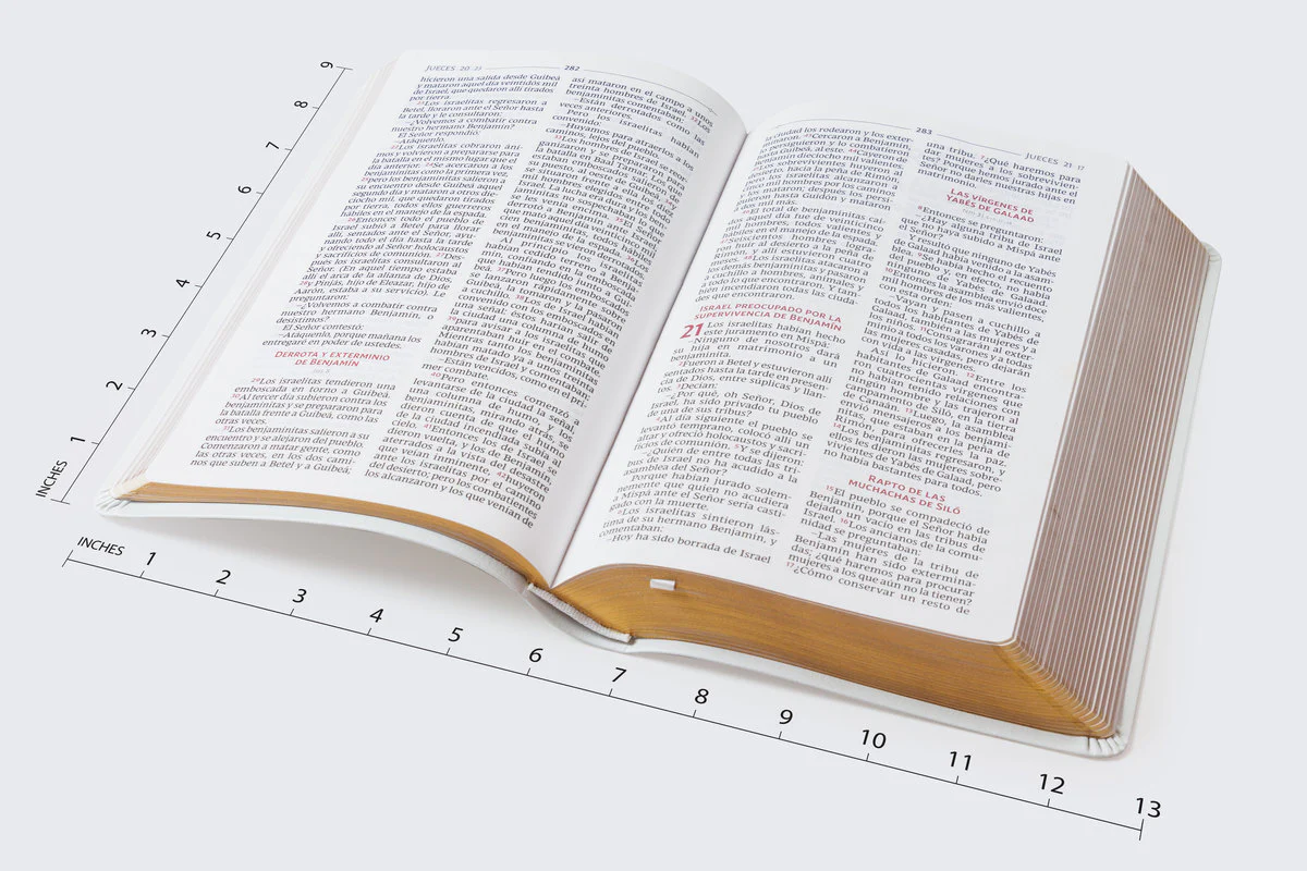 Biblia Católica, Regalos y Ceremonias, Piel reciclada, Rosado, Comfort Print - Image 18