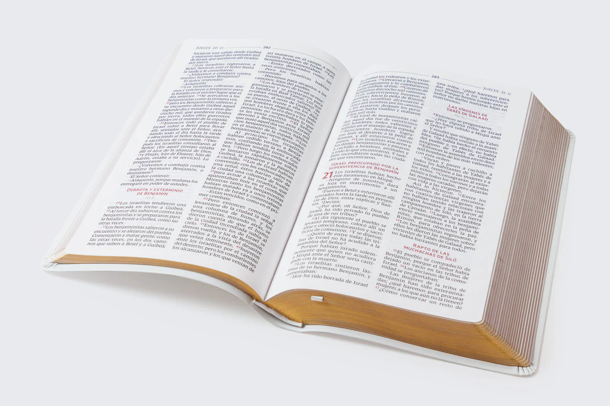 Biblia Católica, Regalos y Ceremonias, Piel reciclada, Rosado, Comfort Print - Image 19