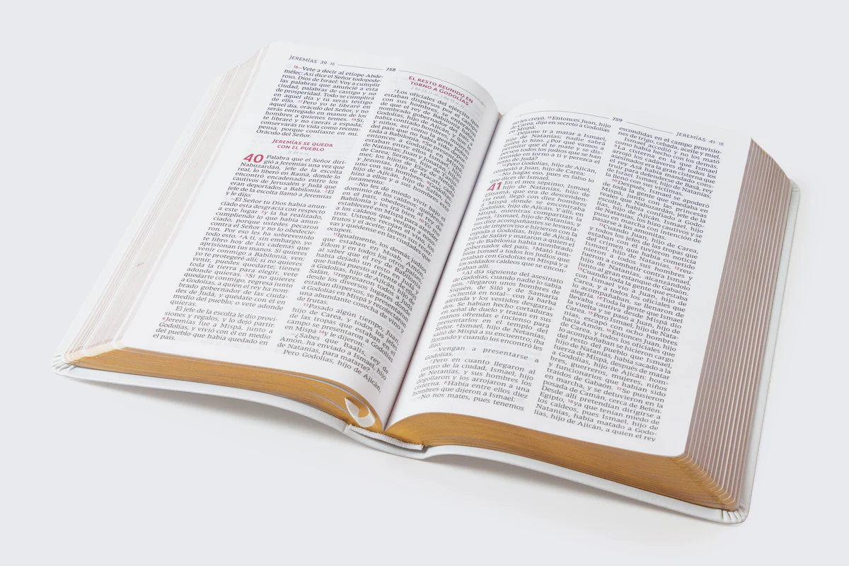 Biblia Católica, Regalos y Ceremonias, Piel reciclada, Rosado, Comfort Print - Image 20