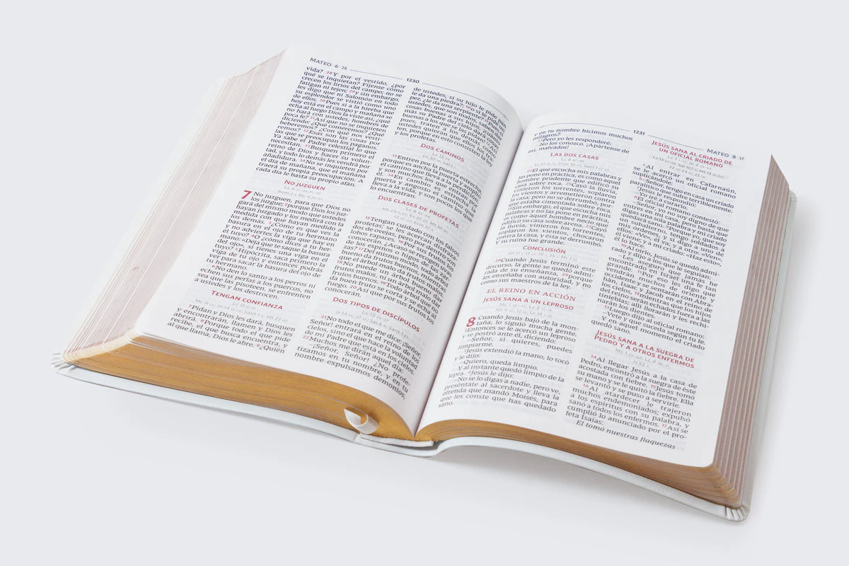 Biblia Católica, Regalos y Ceremonias, Piel reciclada, Rosado, Comfort Print - Image 21