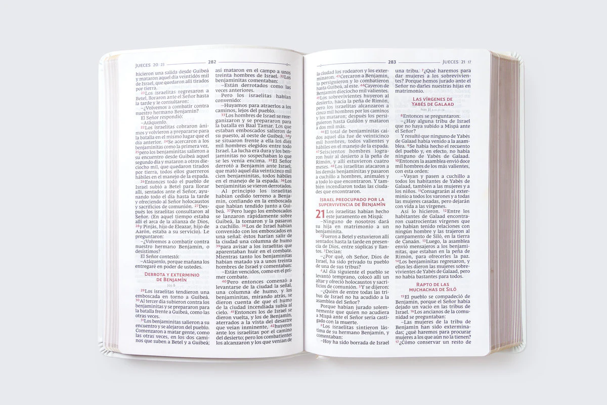 Biblia Católica, Regalos y Ceremonias, Piel reciclada, Rosado, Comfort Print - Image 22