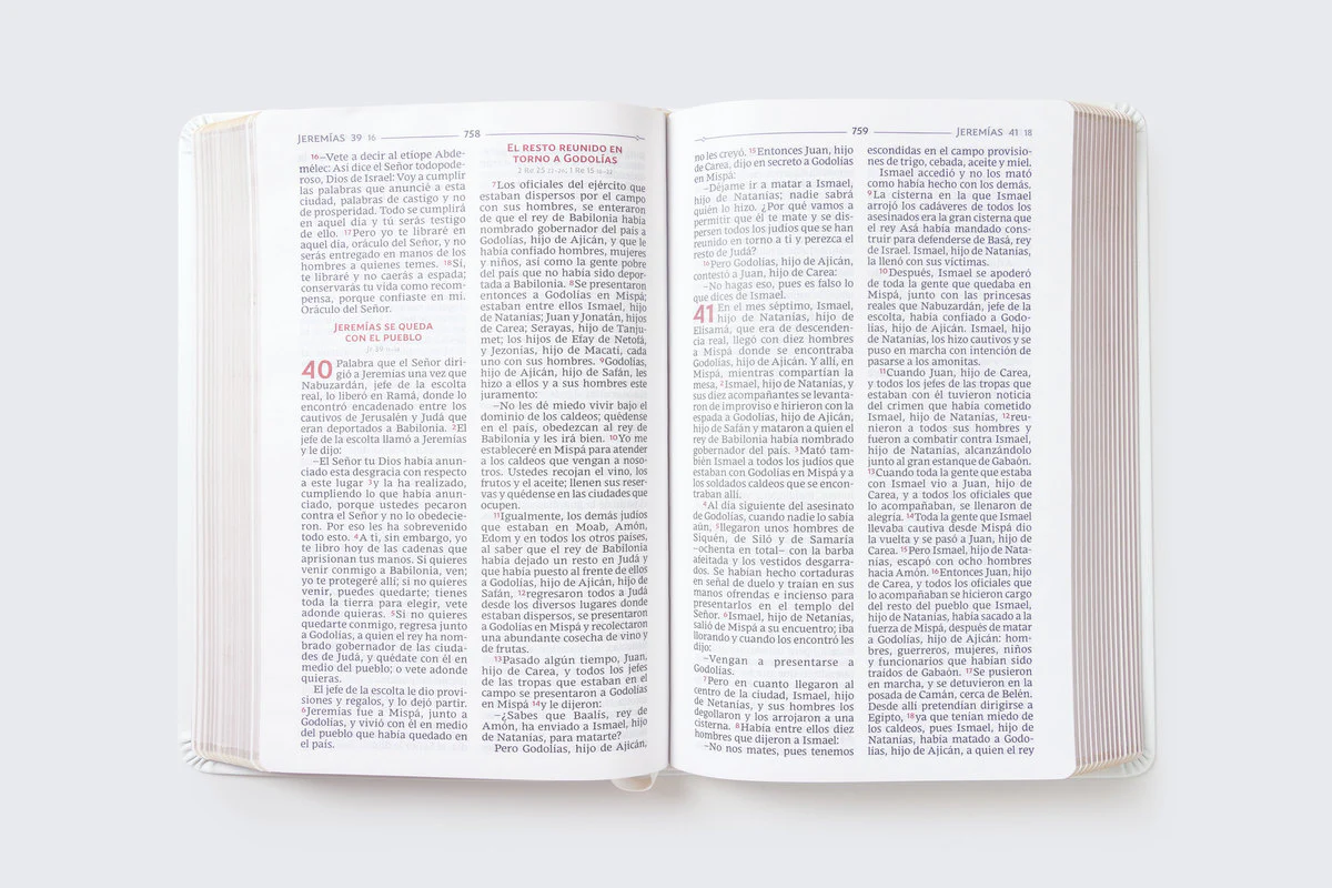 Biblia Católica, Regalos y Ceremonias, Piel reciclada, Rosado, Comfort Print - Image 23