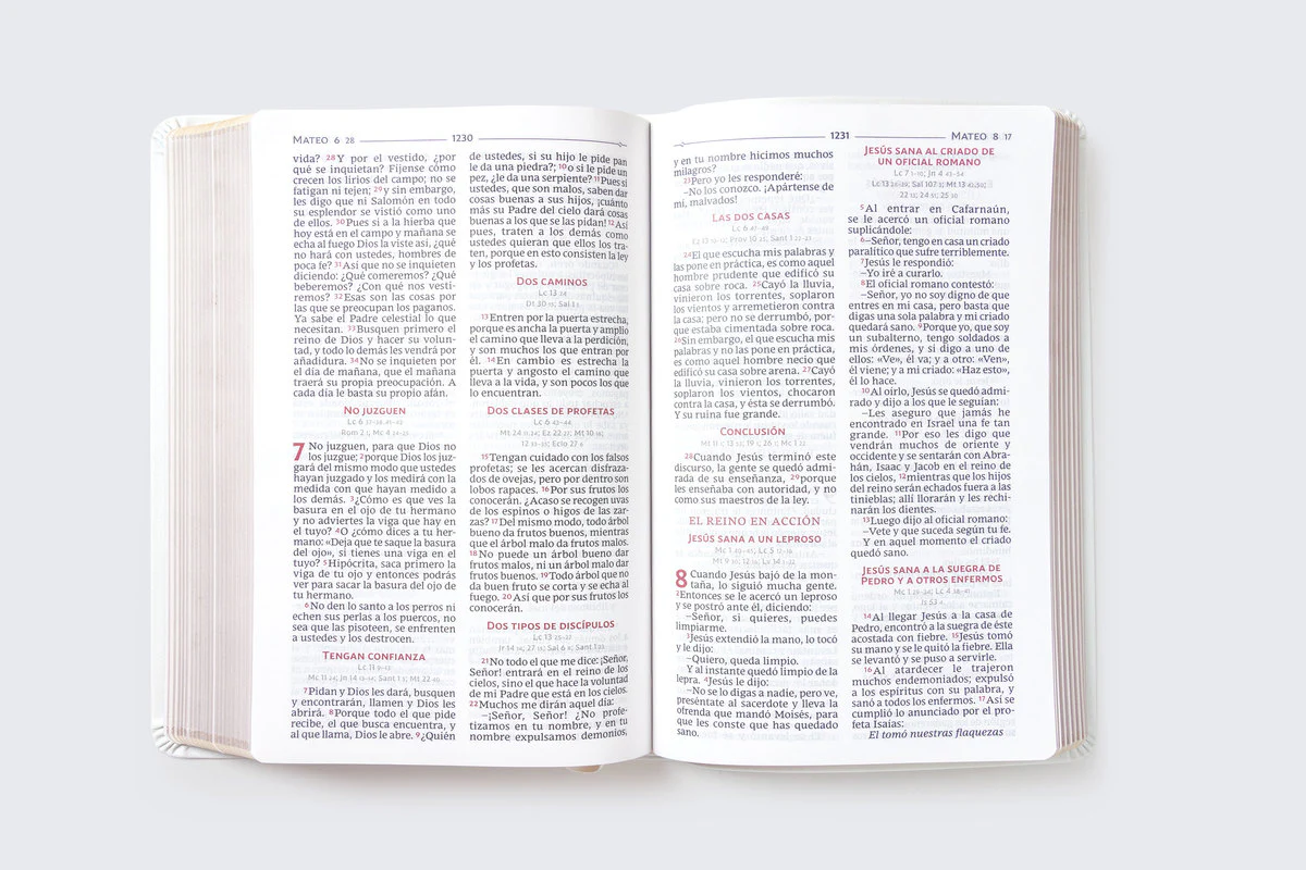 Biblia Católica, Regalos y Ceremonias, Piel reciclada, Rosado, Comfort Print - Image 24