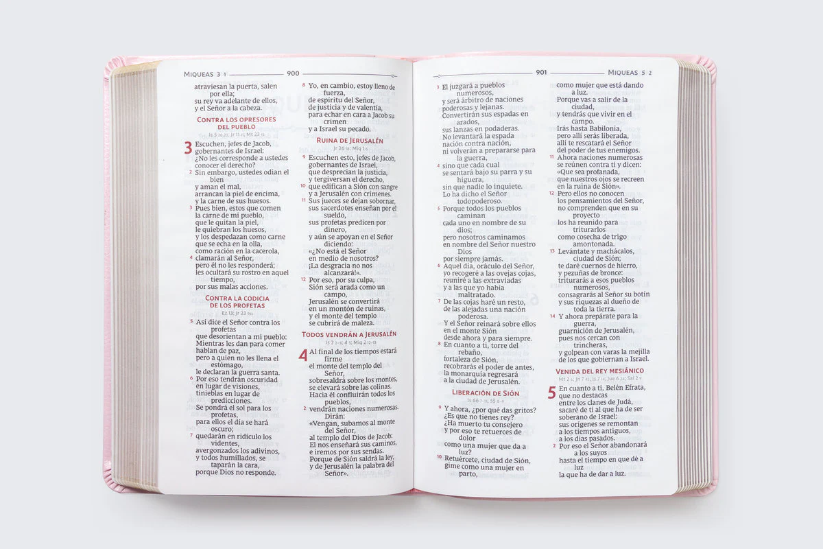 Biblia Católica, Regalos y Ceremonias, Piel reciclada, Rosado, Comfort Print - Image 25