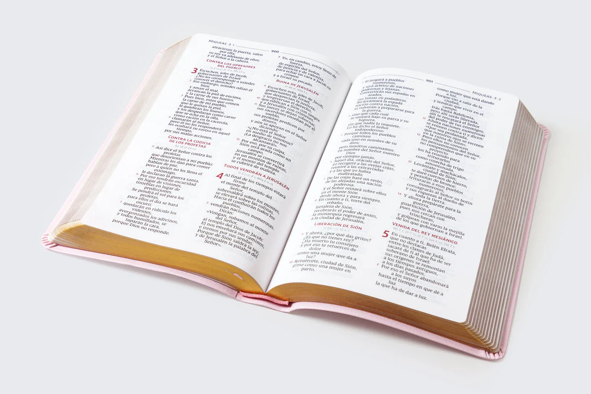 Biblia Católica, Regalos y Ceremonias, Piel reciclada, Rosado, Comfort Print - Image 26