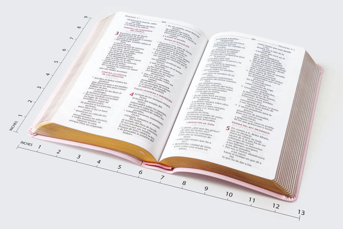 Biblia Católica, Regalos y Ceremonias, Piel reciclada, Rosado, Comfort Print - Image 27