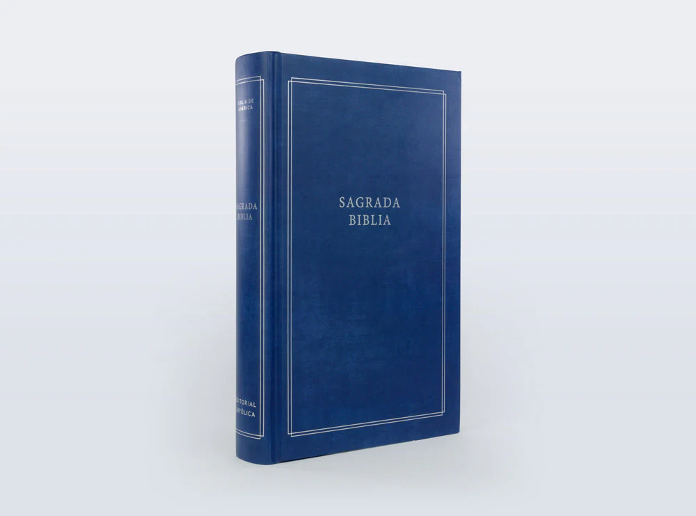 Biblia Católica, Regalos y Ceremonias, Piel reciclada, Rosado, Comfort Print - Image 31