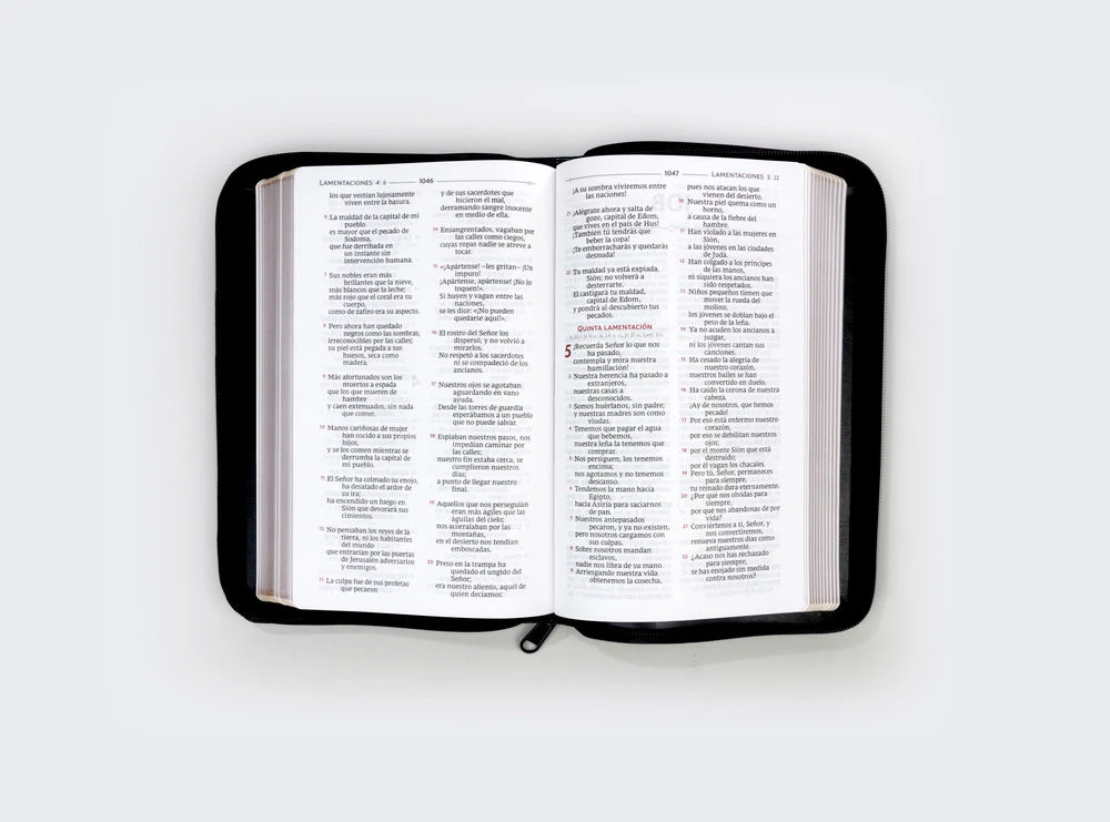 Biblia Católica, Regalos y Ceremonias, Piel reciclada, Rosado, Comfort Print - Image 43