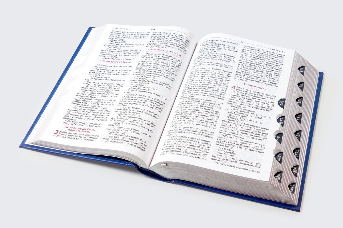 Biblia Católica, Regalos y Ceremonias, Piel reciclada, Rosado, Comfort Print - Image 53