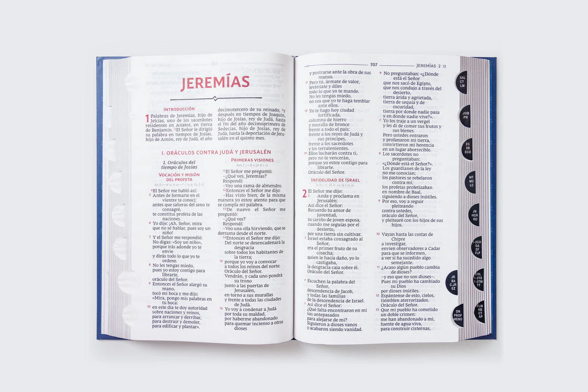Biblia Católica, Regalos y Ceremonias, Piel reciclada, Rosado, Comfort Print - Image 56
